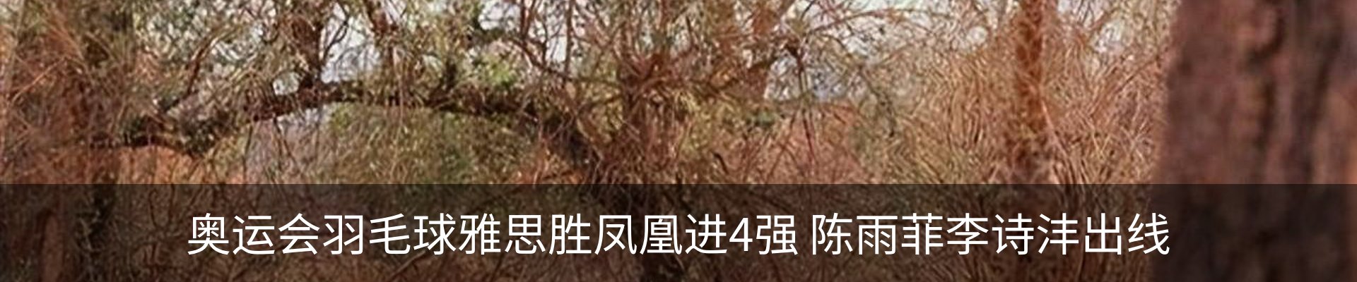 内页banner