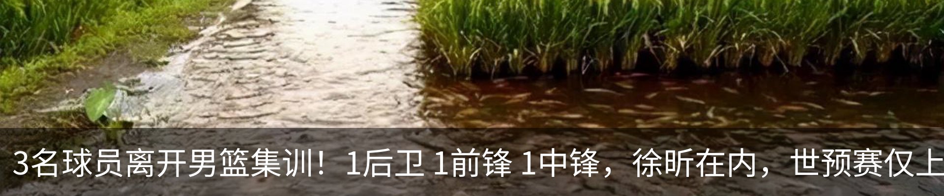 内页banner
